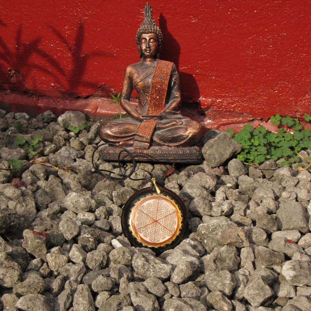 Flower of Life Dimensional Quantum Resonator