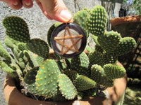 Thumbnail for Focusing Enhancer Quantum Resonator - Metayantra Consciencia