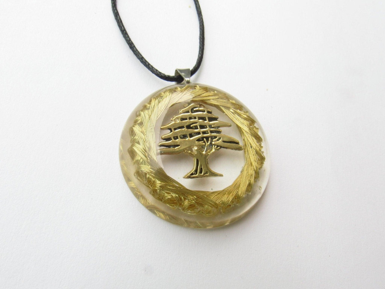 Micro Lebanese Cedar Tree - Metayantra Consciencia