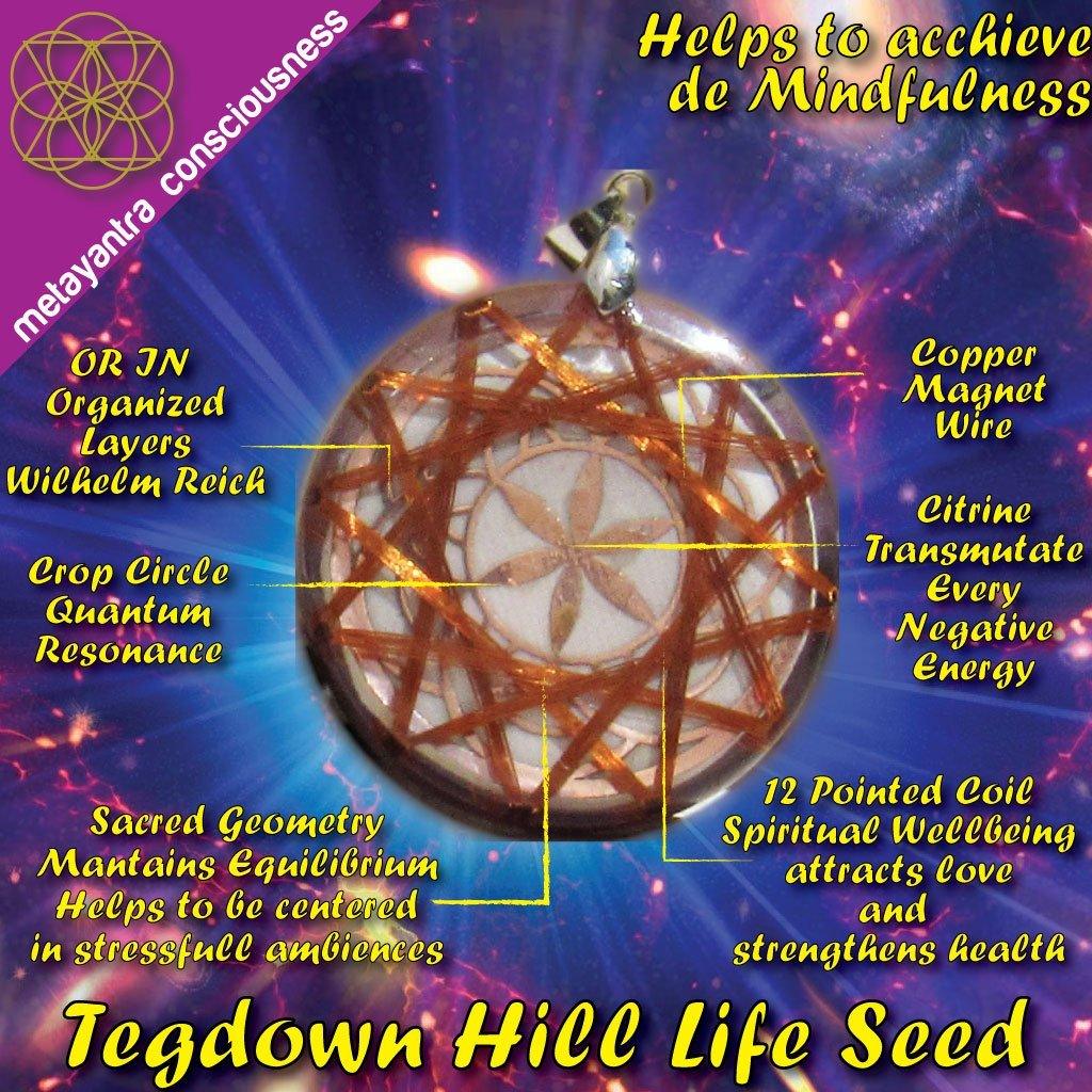 Seed of Life Tegdown Hill Crop Circle Vortex - Metayantra Consciencia